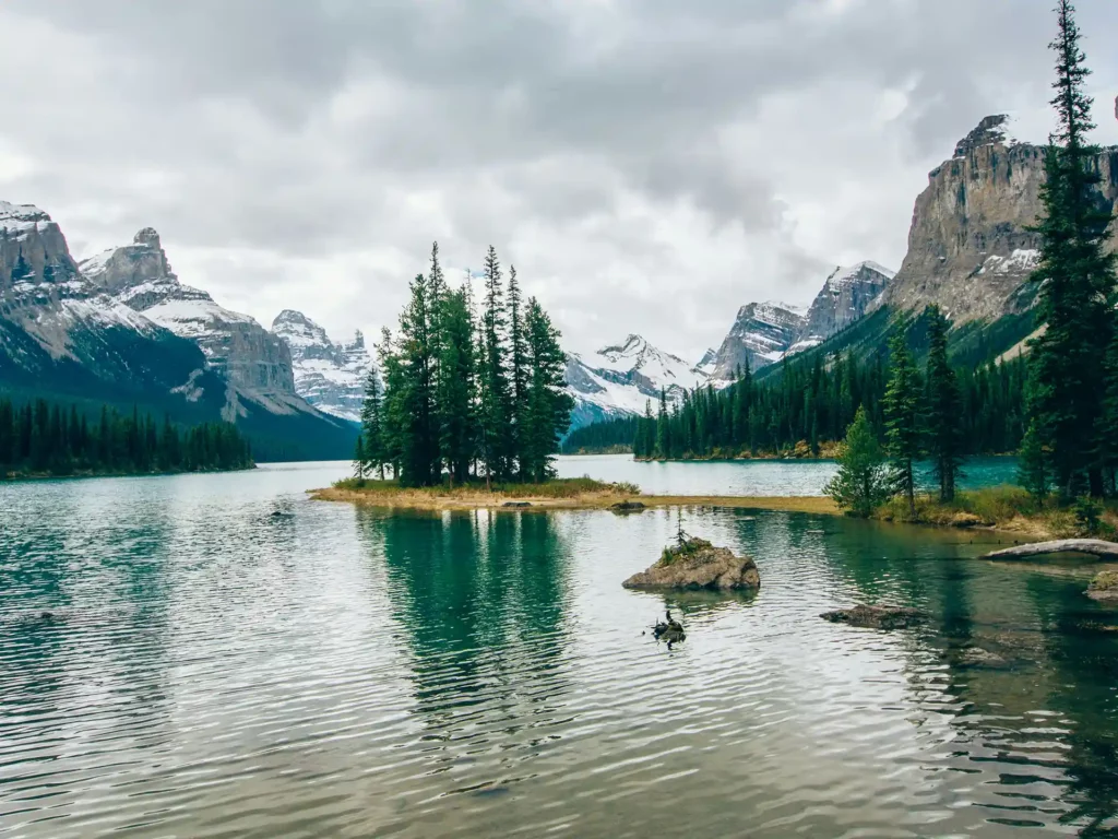 If Kontakt Header 02